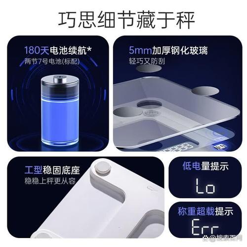 小熊体重秤质量怎么样？选购指南与使用心得全解析